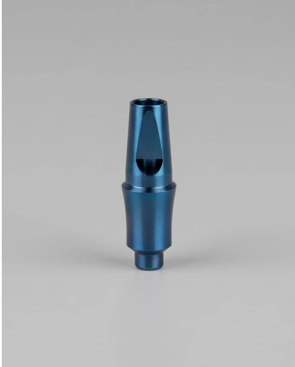 Pilar protésico recto regular, compatible con ADIN Touareg S, Touareg OS, Altura Gingival: 1mm.