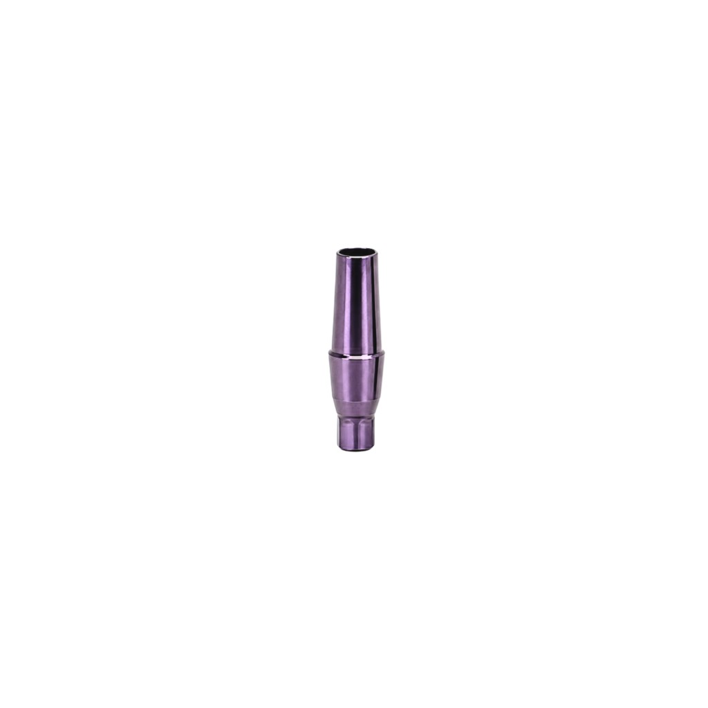 PILAR PROTESICO COMPATIBLE CON STRAUMANN BL (NC) MINI 2.5MM