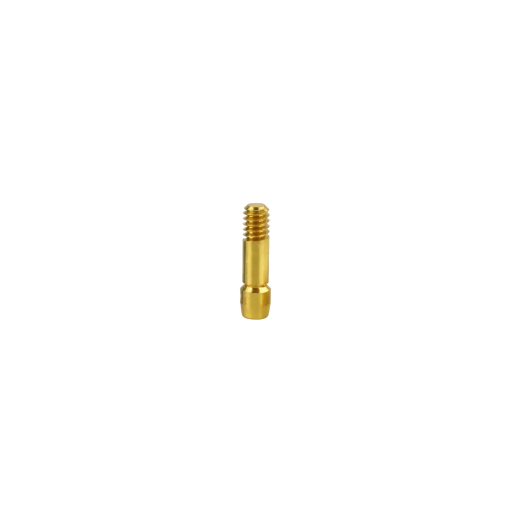 Tornillo de pilar protésico compatible con ADIN Touareg S, Touareg OS, Regular.